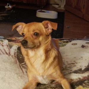 Meet your Posher, Dana